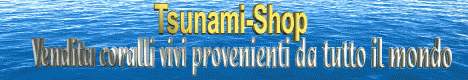 http://www.tsunami-shop.com